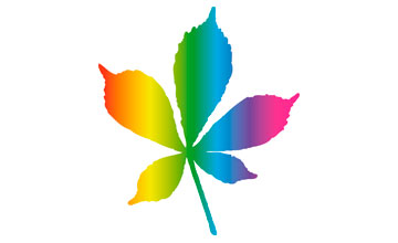 Rainbow leaf