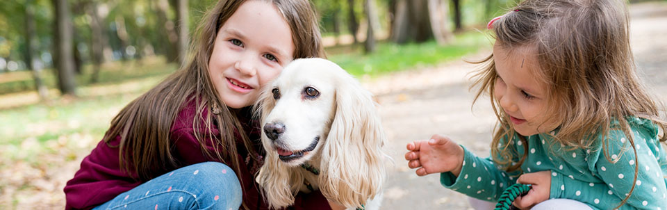 Children walking with their dog