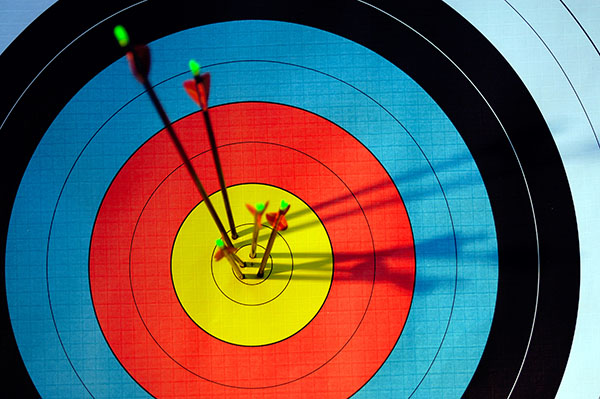 Archery Target