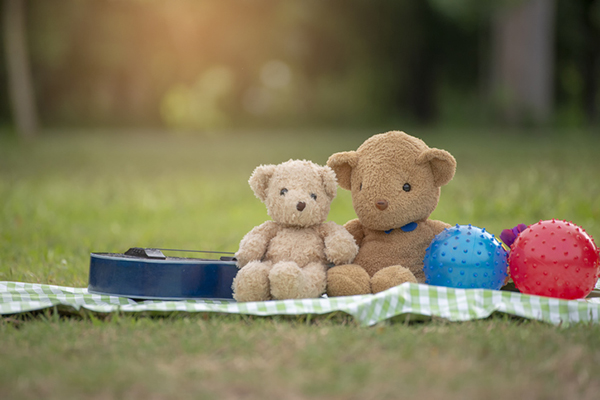 Two teddies having a picnic 
