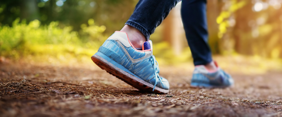 Trainers walking on the ground 