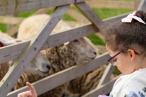 Child visiting farm