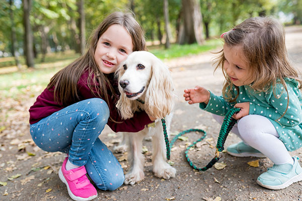 Children walking their dog