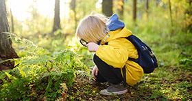 Child exploring the field