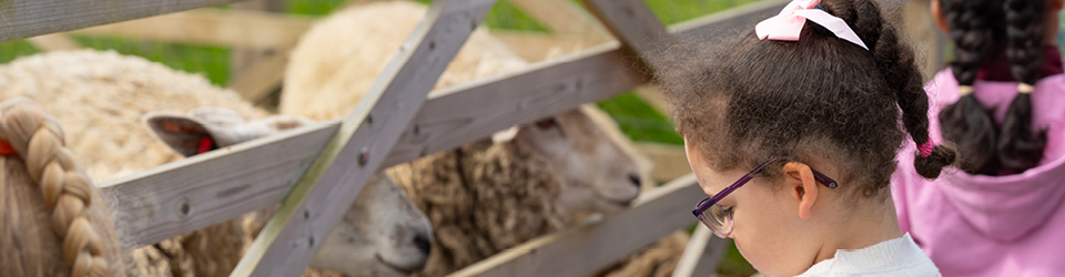 Farm banner