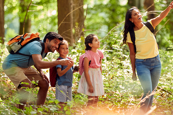 Family exploring the forest