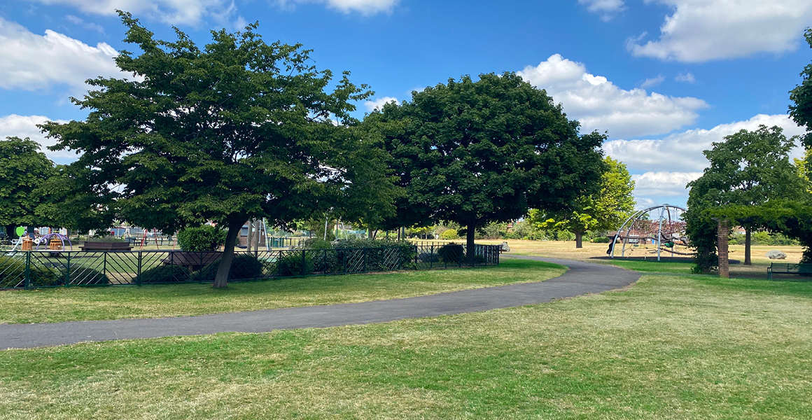 Trees and grass in Clayhall Park