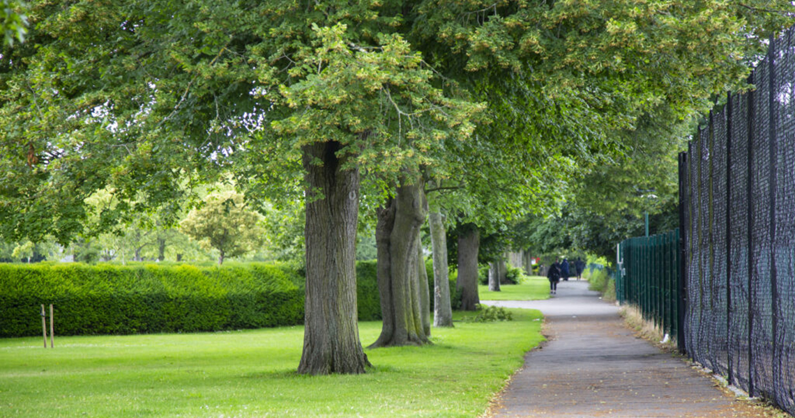 Valentines Park