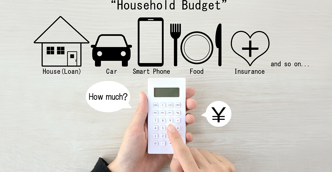 Human's hand using calculator and household budget pictogram