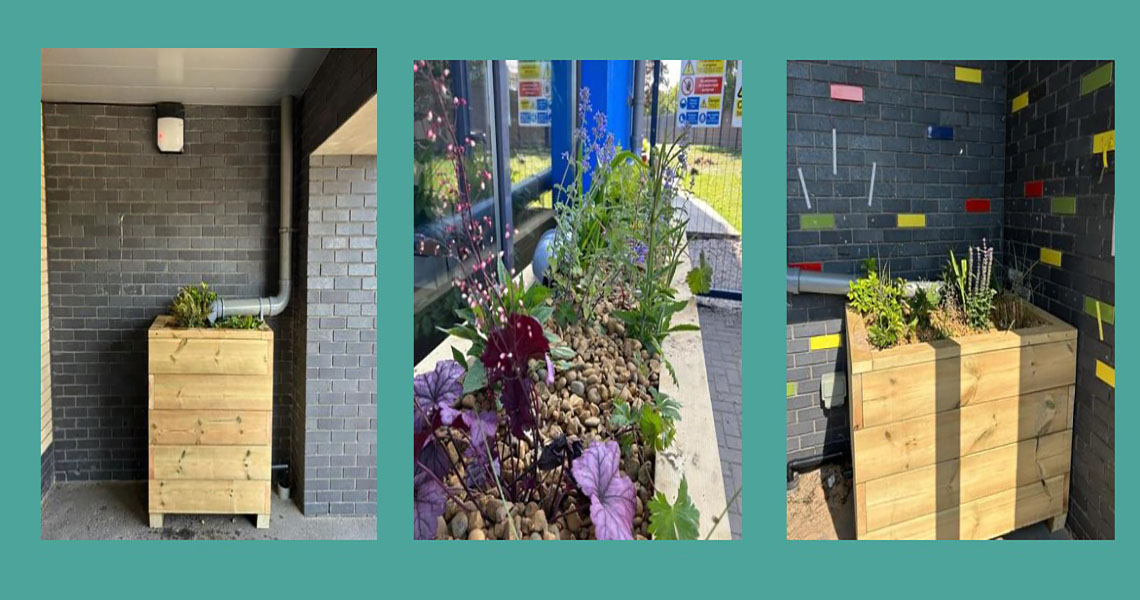 three images of SuDS scheme planters in the school