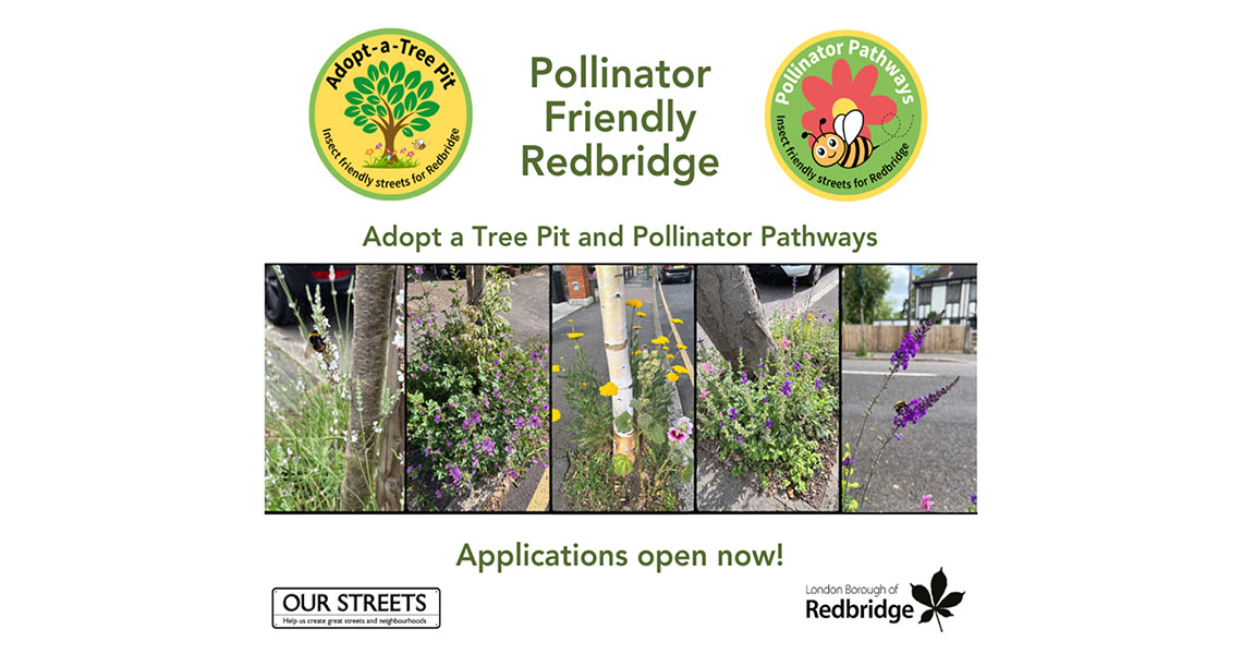 adopt a tree pit info