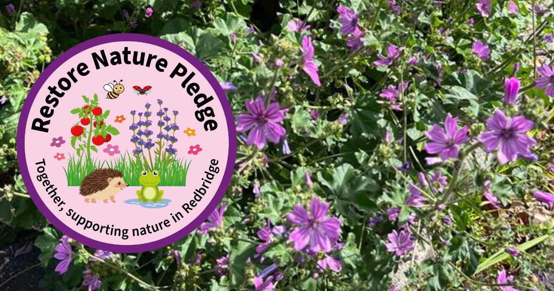 restore nature pledge logo with image of purple flowers behind it