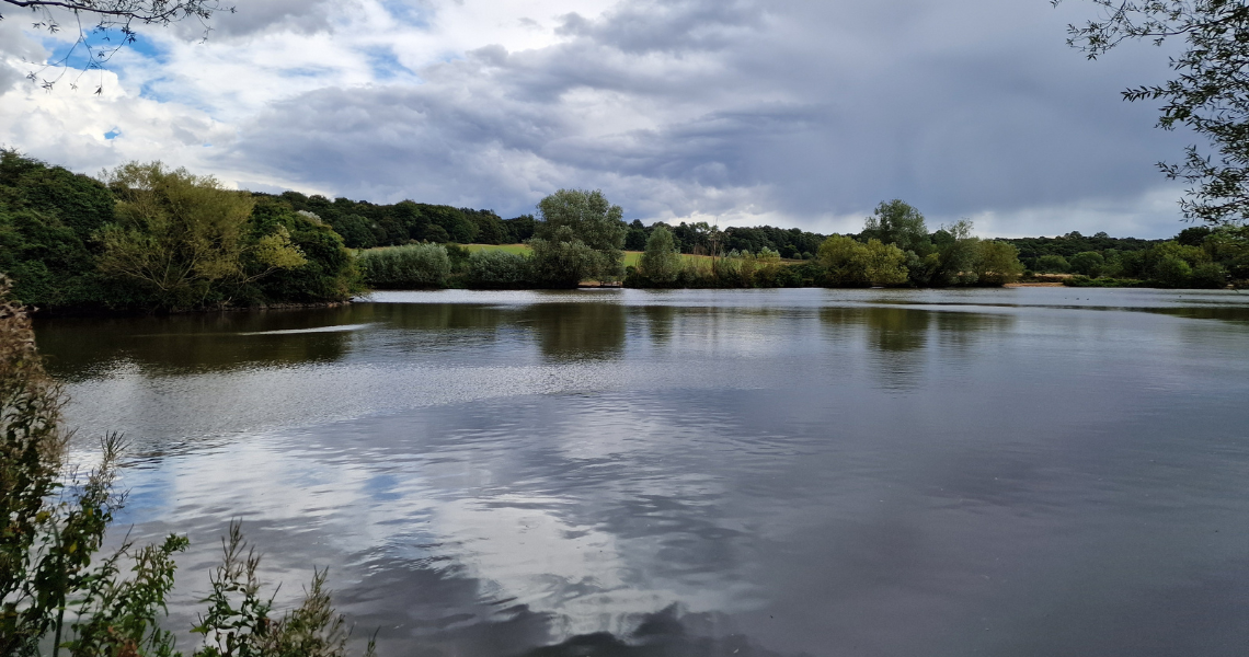 Lake in Hainault Forest