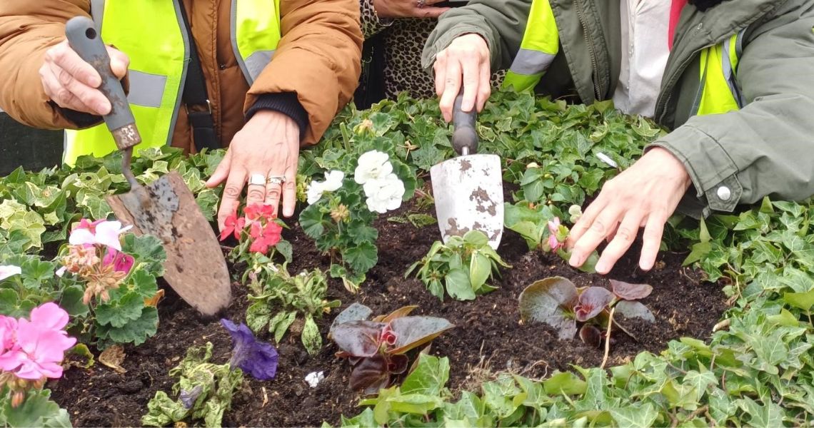 lady planting flowers