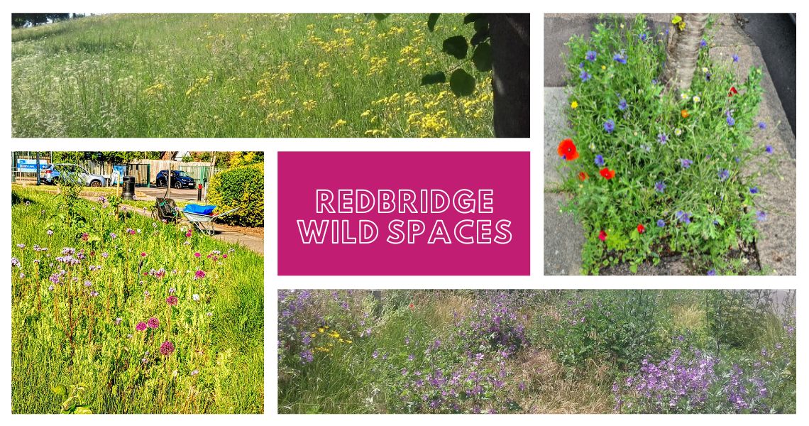 wild spaces