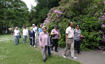 people walking in the park