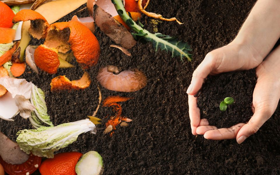composting with food pieces on the side