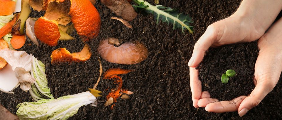 composting with food pieces on the side