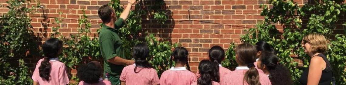 School children visiting Valentines Mansion & Gardens