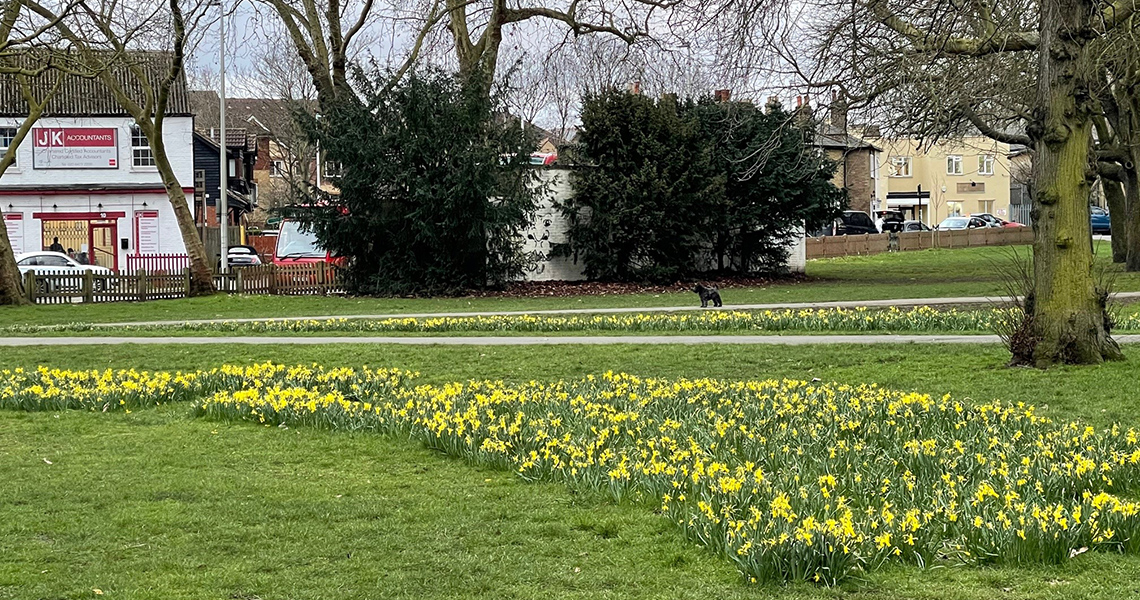 Christchurch Green