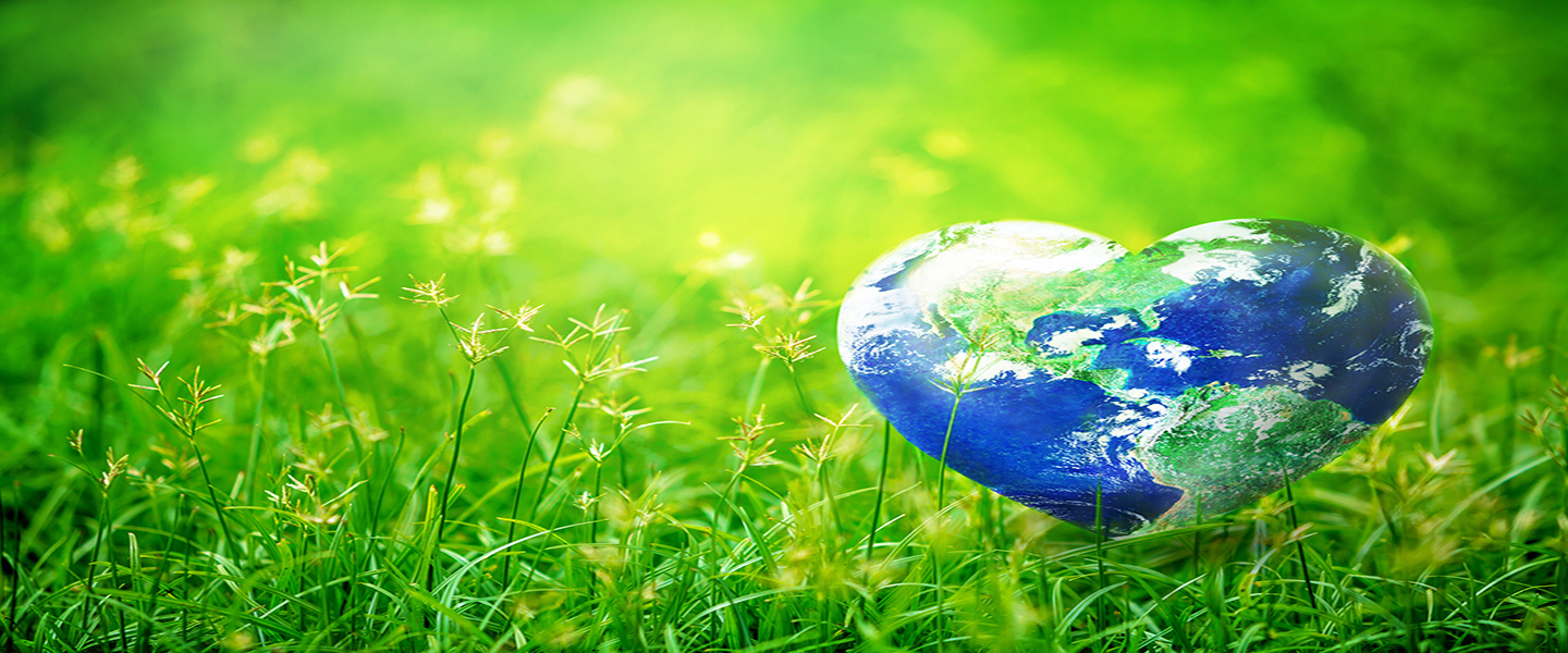 heart shaped earth on a bed of green grass