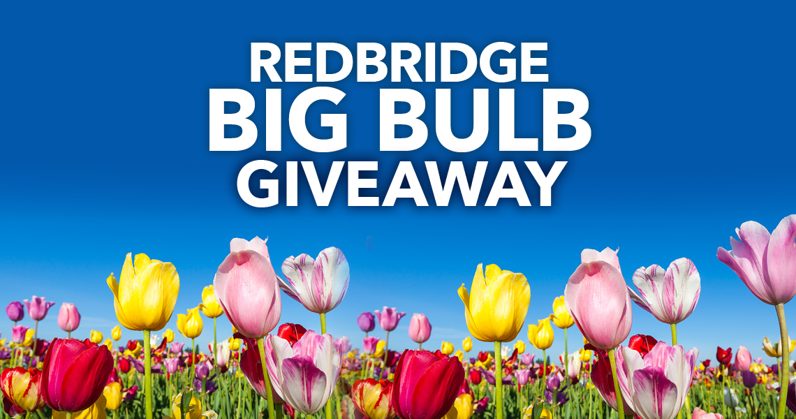 Graphic of flowers with wording Big Bulb Giveaway