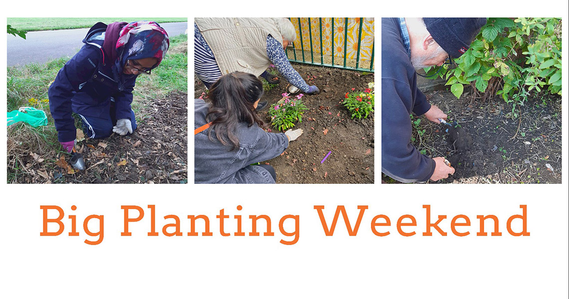 three images of people planting bulbs