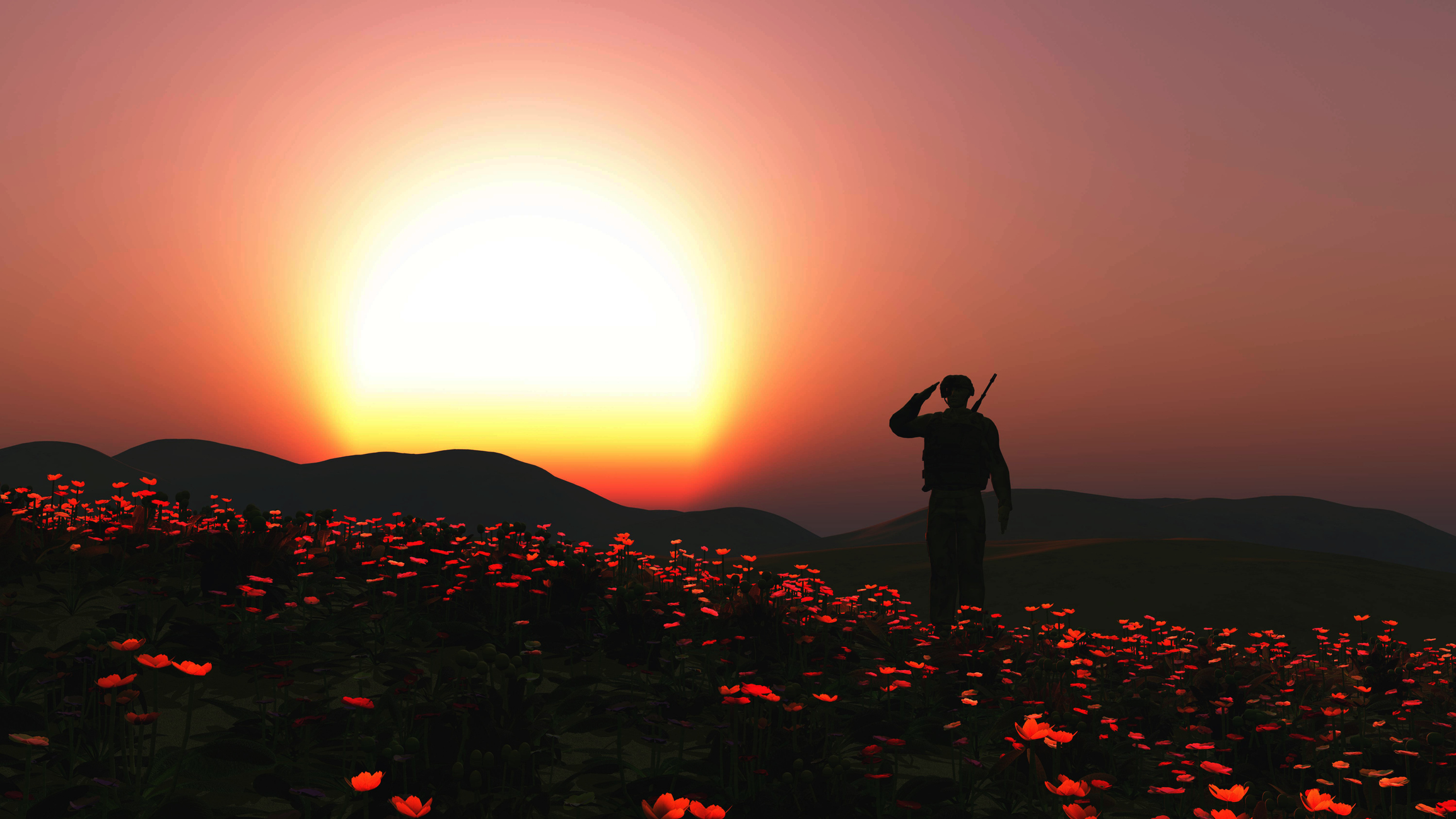 soldier saluting over a poppy field for remembrance sunday