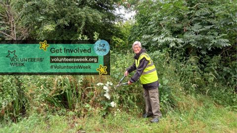 volunteer pruning bushes in the park