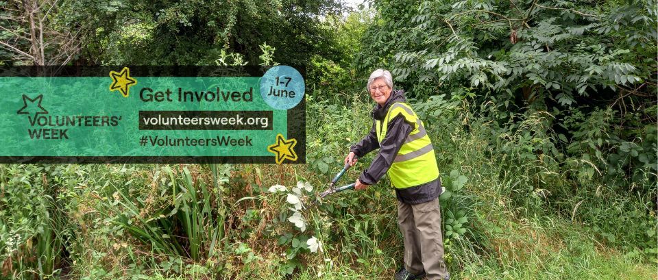 volunteer pruning bushes in the park