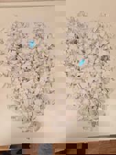 Kindness, Notes, Yusuf, MYP, Youth Council, Young people 