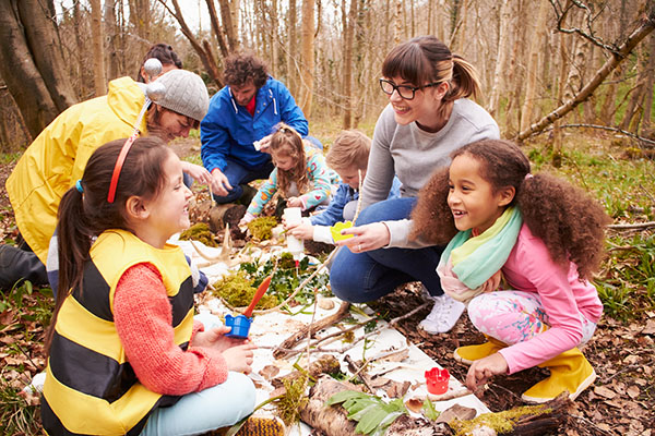 Forest Activity
